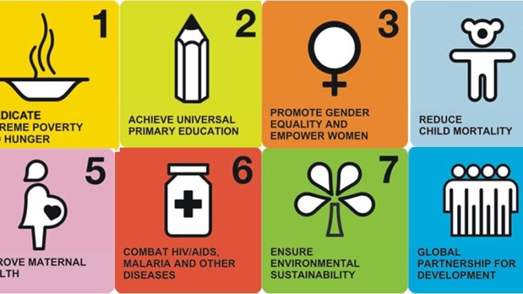 What were success factors of the Millennium Development Goals?