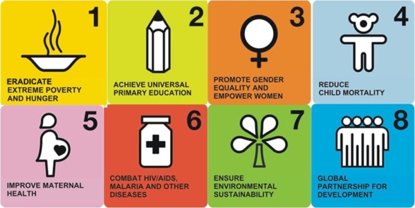 What were success factors of the Millennium Development Goals?